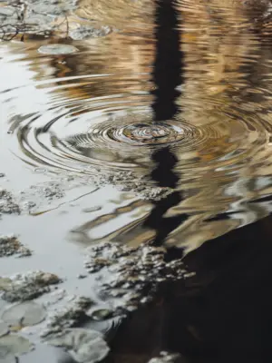 Lámina eco del agua